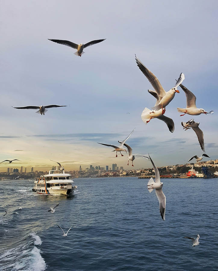 Istanbul Lunch Cruise — Bosphorus tour in Istanbul